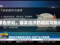 銀色世紀(jì)，銀發(fā)經(jīng)濟(jì)的崛起與挑戰(zhàn)