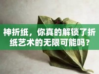 神折紙，你真的解鎖了折紙藝術(shù)的無(wú)限可能嗎？