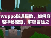 Wuppo隧道探險(xiǎn)，如何穿越神秘隧道，解鎖冒險(xiǎn)之旅？