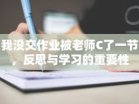我沒交作業(yè)被老師C了一節(jié)，反思與學(xué)習(xí)的重要性