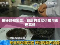 揭秘贛榆紫菜，背后的真實價格與市場真相