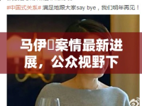 馬伊琍案情最新進(jìn)展，公眾視野下的法律較量