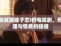 叔叔跟嫂子戀i的電視劇，倫理與情感的碰撞