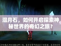 洄月石，如何開啟探索神秘世界的奇幻之旅？