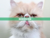 揭秘貓流淚的奧秘