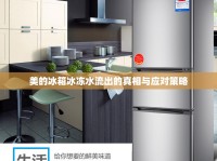 美的冰箱冰凍水流出的真相與應(yīng)對策略