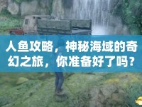 人魚(yú)攻略，神秘海域的奇幻之旅，你準(zhǔn)備好了嗎？