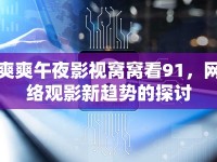 爽爽午夜影視窩窩看91，網(wǎng)絡(luò)觀影新趨勢的探討