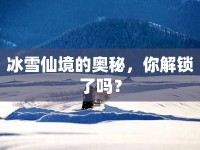 冰雪仙境的奧秘，你解鎖了嗎？