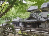 夢(mèng)幻手游簡(jiǎn)易特技裝備，如何打造你的專屬戰(zhàn)斗神器？