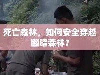 死亡森林，如何安全穿越幽暗森林？