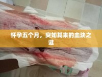 懷孕五個(gè)月，突如其來的血塊之謎