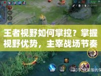 王者視野如何掌控？掌握視野優(yōu)勢，主宰戰(zhàn)場節(jié)奏！