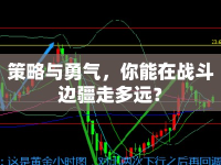 策略與勇氣，你能在戰(zhàn)斗邊疆走多遠？