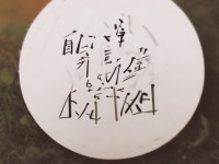 青云志手游后期伙伴，攜手共赴仙途，探索無盡奧秘，你準備好了嗎？