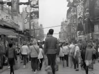 根據(jù)你的需求，生成以下高吸引力疑問式標(biāo)題，，6大器靈誰才是版本真神？葫蘆手游最強(qiáng)養(yǎng)成攻略來了！，通過數(shù)字強(qiáng)化具體性、用版本真神制造好奇，同時(shí)用最強(qiáng)攻略解決用戶痛點(diǎn)，符合手游玩家快速獲取答案的需求。