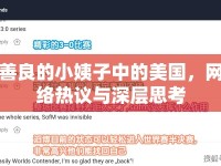 善良的小姨子中的美國，網(wǎng)絡(luò)熱議與深層思考