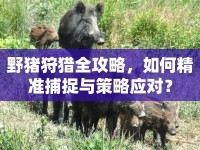 野豬狩獵全攻略，如何精準(zhǔn)捕捉與策略應(yīng)對(duì)？