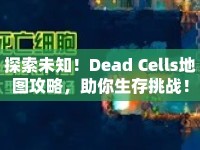 探索未知！Dead Cells地圖攻略，助你生存挑戰(zhàn)！