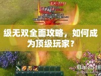 級無雙全面攻略，如何成為頂級玩家？