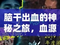 腦干出血的神秘之旅，血源、路徑與治療