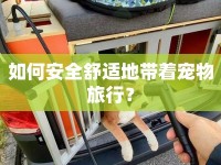 如何安全舒適地帶著寵物旅行？
