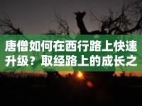 唐僧如何在西行路上快速升級？取經路上的成長之旅揭秘！