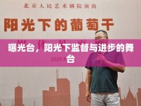 曝光臺，陽光下監(jiān)督與進(jìn)步的舞臺