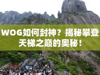 WOG如何封神？揭秘攀登天梯之巔的奧秘！
