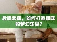 后院養(yǎng)貓，如何打造貓咪的夢(mèng)幻樂園？