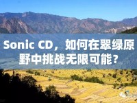 Sonic CD，如何在翠綠原野中挑戰(zhàn)無限可能？