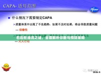 右后輪油流之謎，全面解析診斷與預(yù)防策略