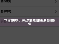 TT語音聊天，從社交新寵到隱私安全的隱憂
