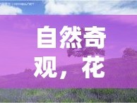 自然奇觀，花蜜觸手下的生命微妙邂逅