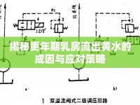 揭秘更年期乳房流出黃水的成因與應(yīng)對策略