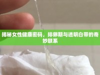 揭秘女性健康密碼，排卵期與透明白帶的奇妙聯(lián)系