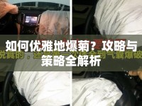 如何優(yōu)雅地爆菊？攻略與策略全解析