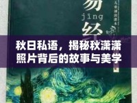 秋日私語(yǔ)，揭秘秋瀟瀟照片背后的故事與美學(xué)探索