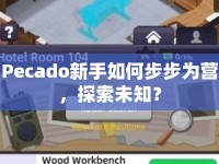 Pecado新手如何步步為營，探索未知？