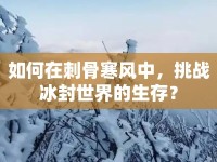 如何在刺骨寒風(fēng)中，挑戰(zhàn)冰封世界的生存？