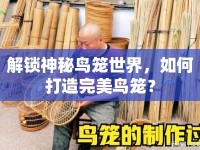 解鎖神秘鳥籠世界，如何打造完美鳥籠？