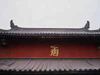小狐技能如何成為倩女手游中的靈動(dòng)與智慧擔(dān)當(dāng)？