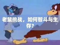 老鼠挑戰(zhàn)，如何智斗與生存？