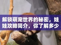 解鎖萌寵世界的秘密，娃娃攻略簡介，你了解多少？
