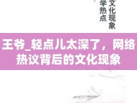 王爺_輕點(diǎn)兒太深了，網(wǎng)絡(luò)熱議背后的文化現(xiàn)象