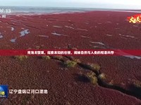 青海戈壁灘，探索未知的壯麗，揭秘自然與人類的和諧共存