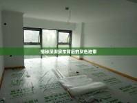 揭秘深圳房東背后的灰色地帶