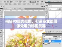 揭秘PS曝光摳圖，打造專業(yè)級圖像處理的秘密武器