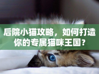 后院小貓攻略，如何打造你的專屬貓咪王國？