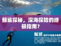 鯨鯊探秘，深海探險的終極指南？